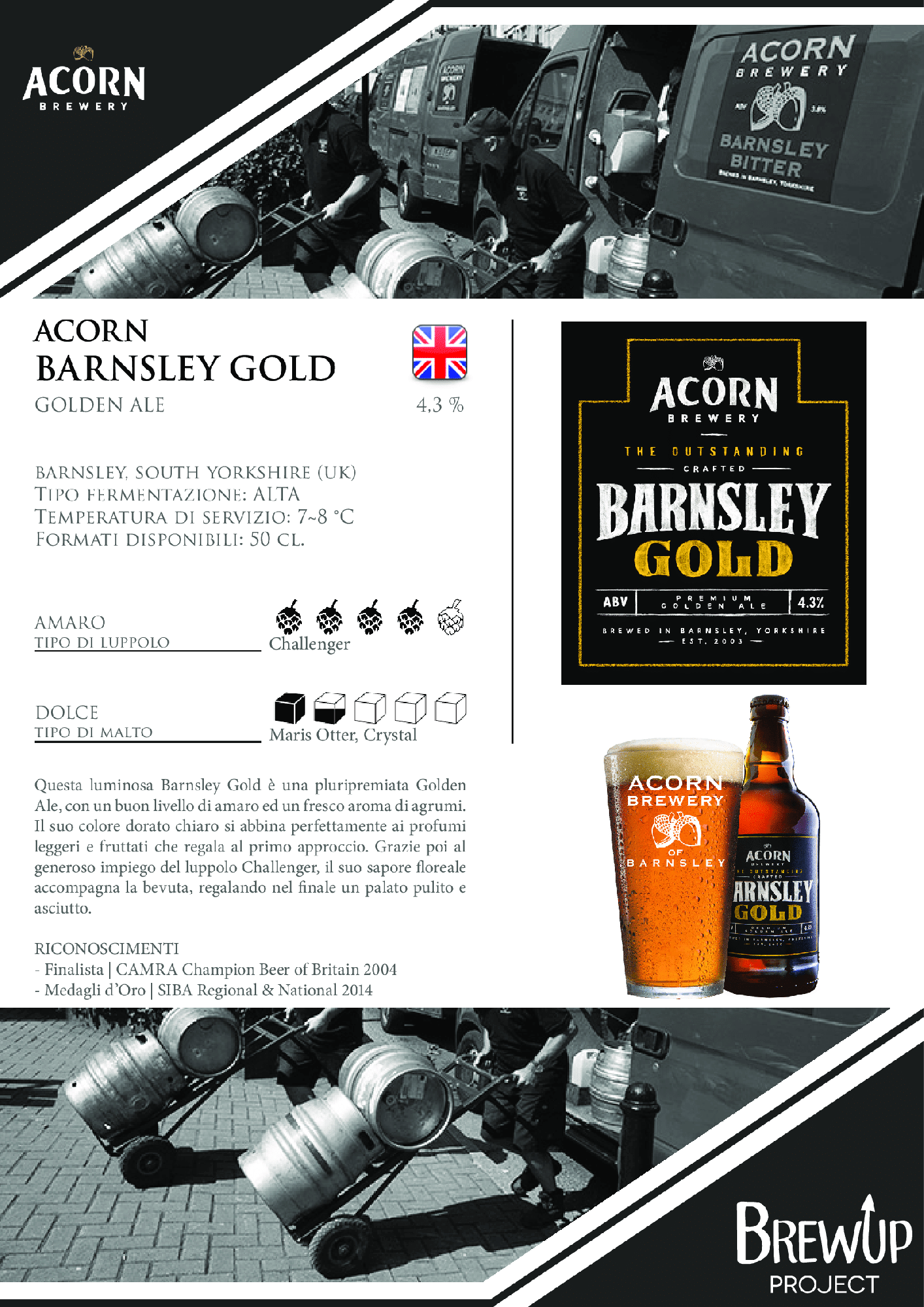 Acorn Barnsley Gold e1689598744123